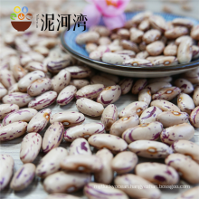 NEW CROP 2016 Light Specked Kidney beans